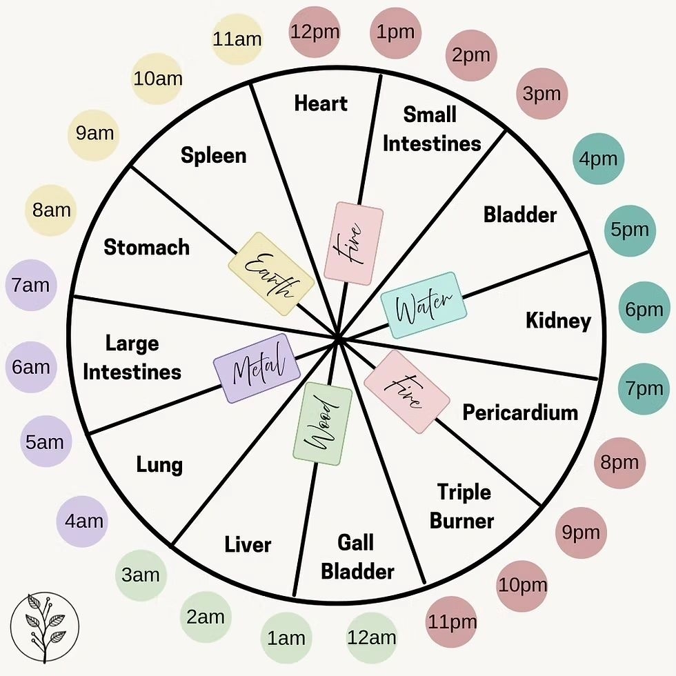 The TCM Organ Clock A 24 Hour Guide To Healing Through Time