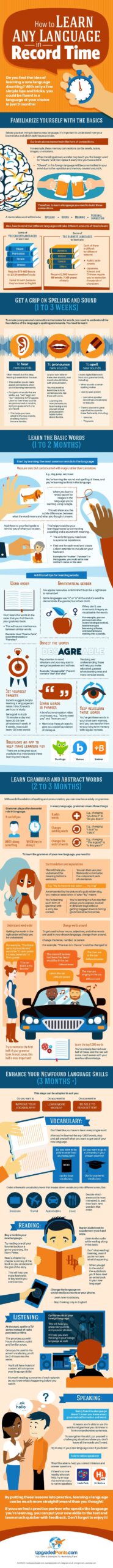 The Ultimate Guide To Learning A Language In Record Time INFOGRAPHIC