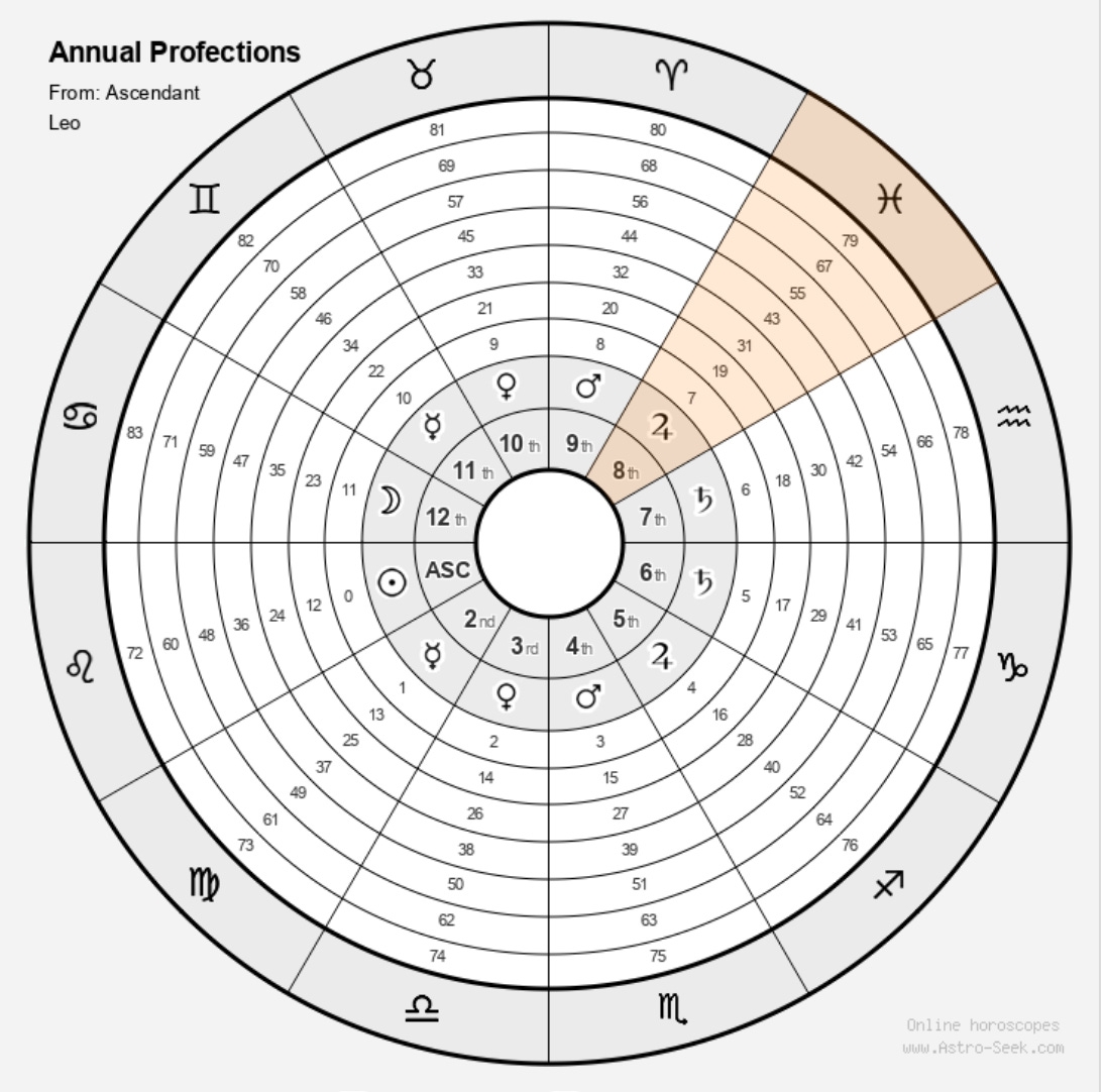Timing My Wedding With Astrology The 8th House S Importance In Marriage