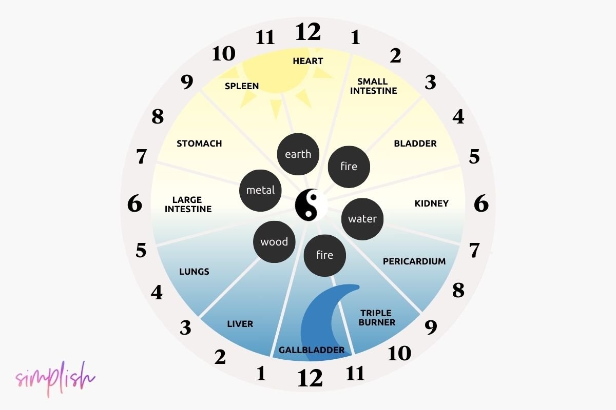 Understanding The Chinese Body Clock A Holistic Approach To Wellbeing Understanding The Chinese Body Clock A Holistic Approach To Wellbeing