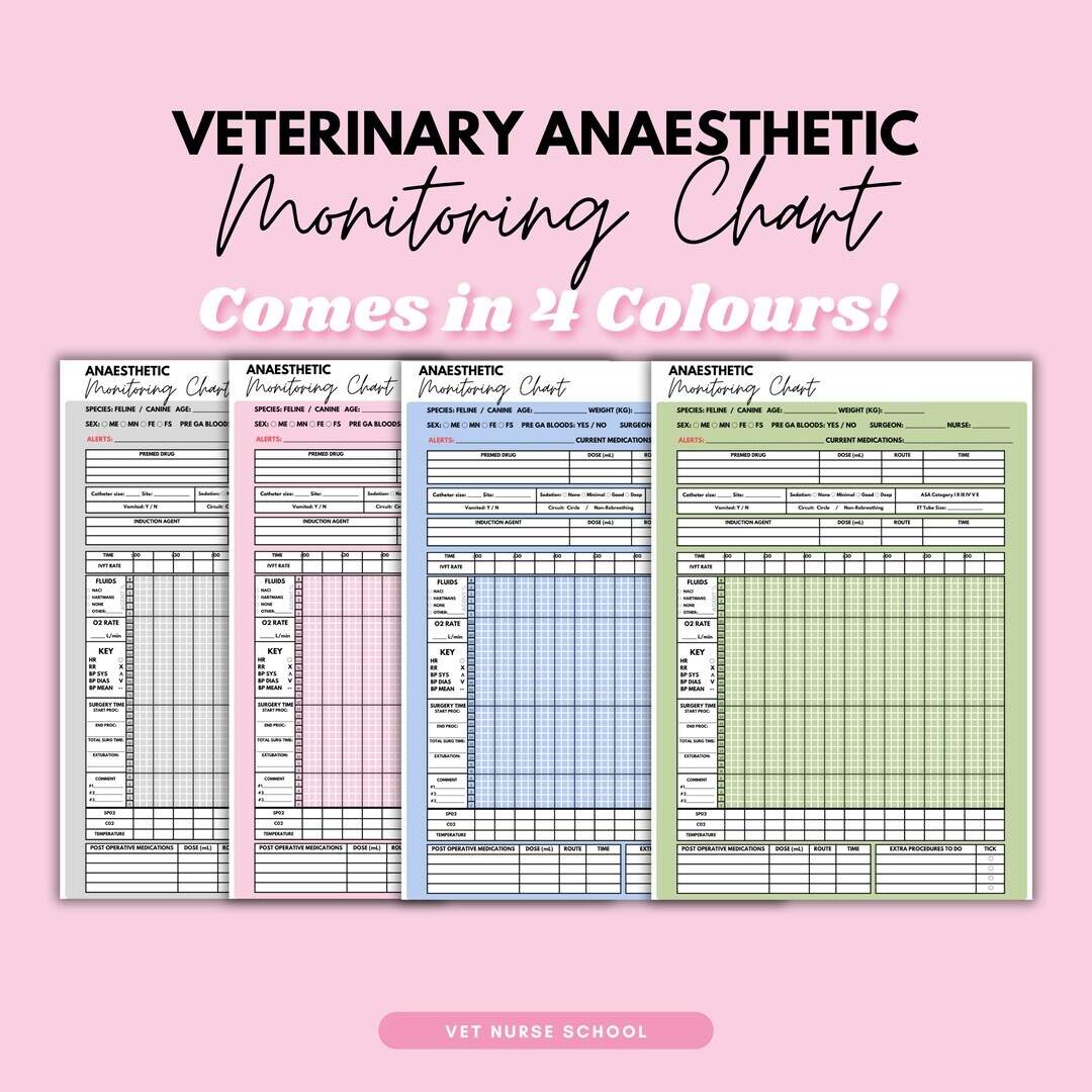 Veterinary Anaesthetic Monitoring Chart Vet Nurse Etsy