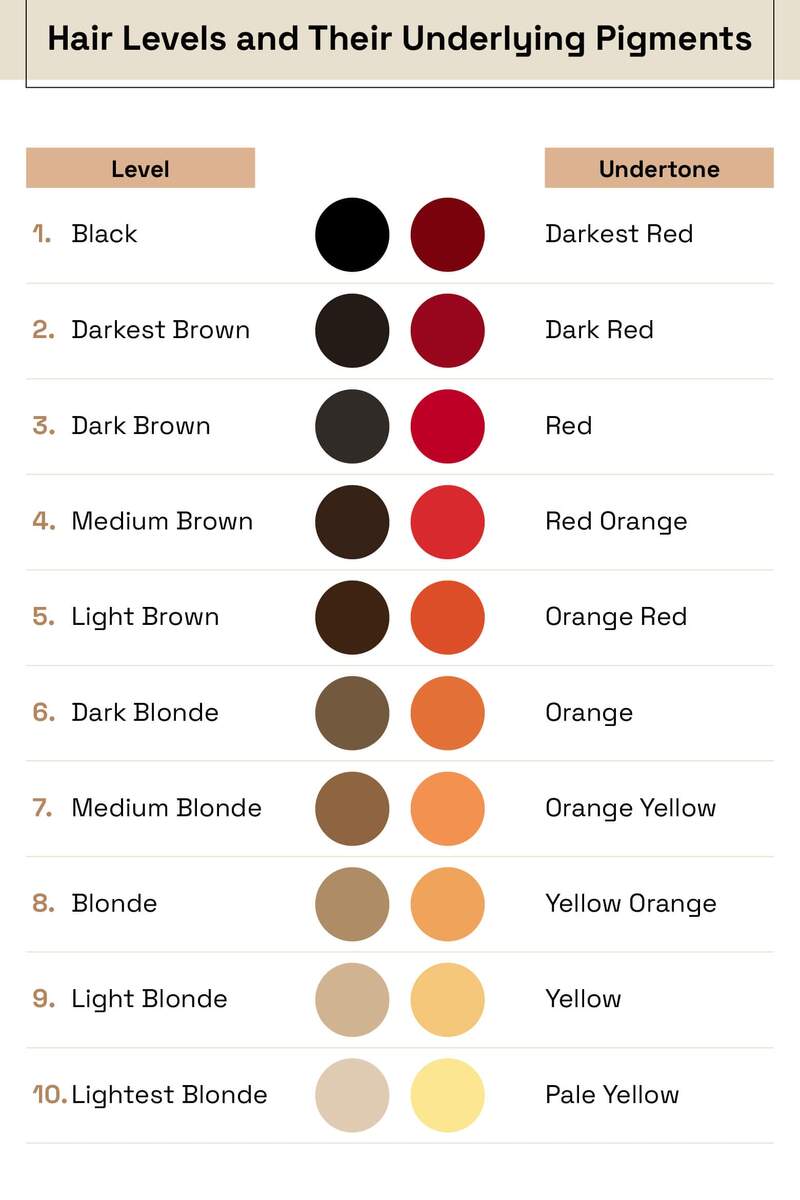 What Are Hair Levels A Guide To Your Hair Depth And Tone StyleSeat Pro Beauty Blog