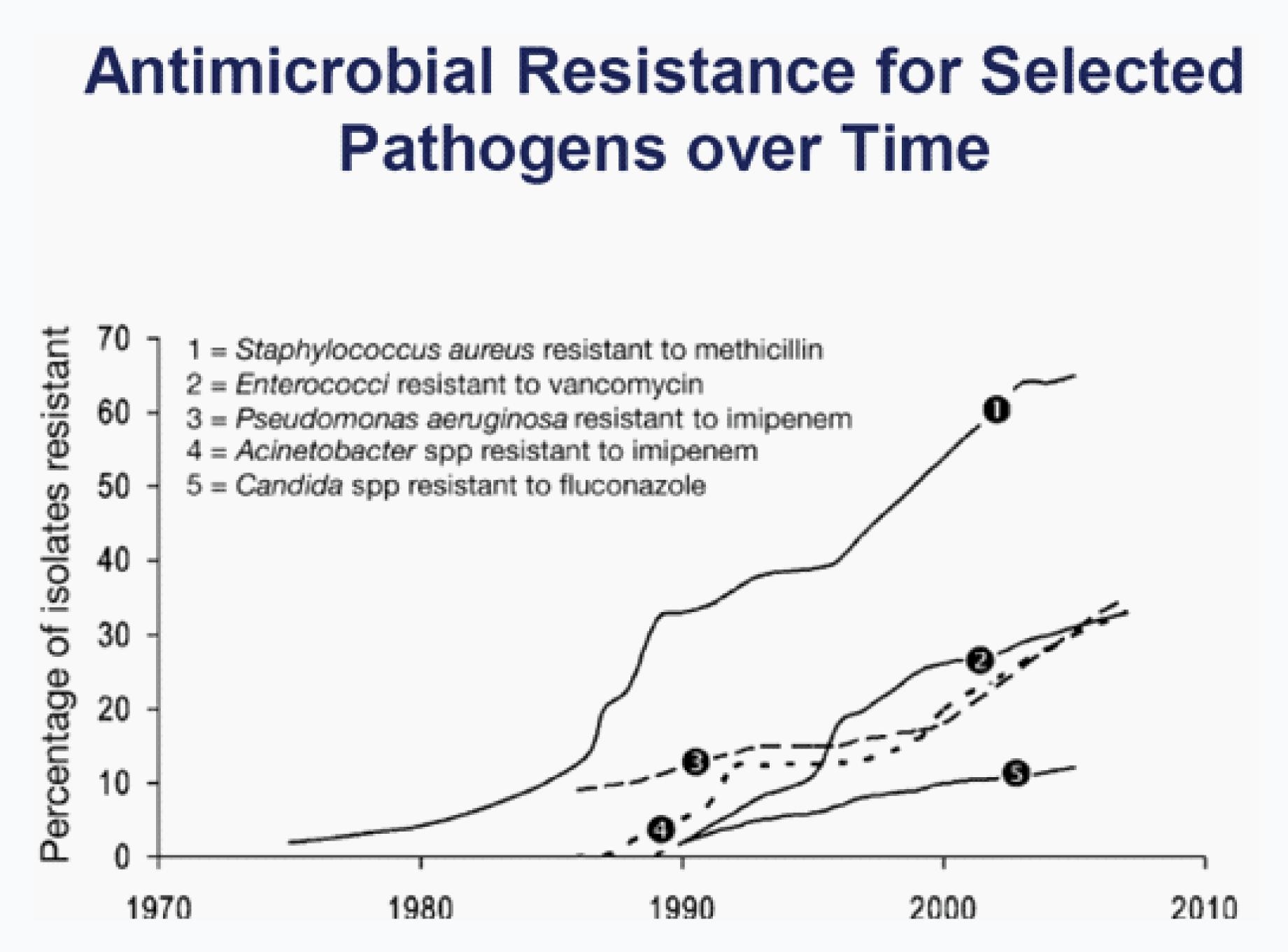 What I Did Not Know About Antibiotic Resistance