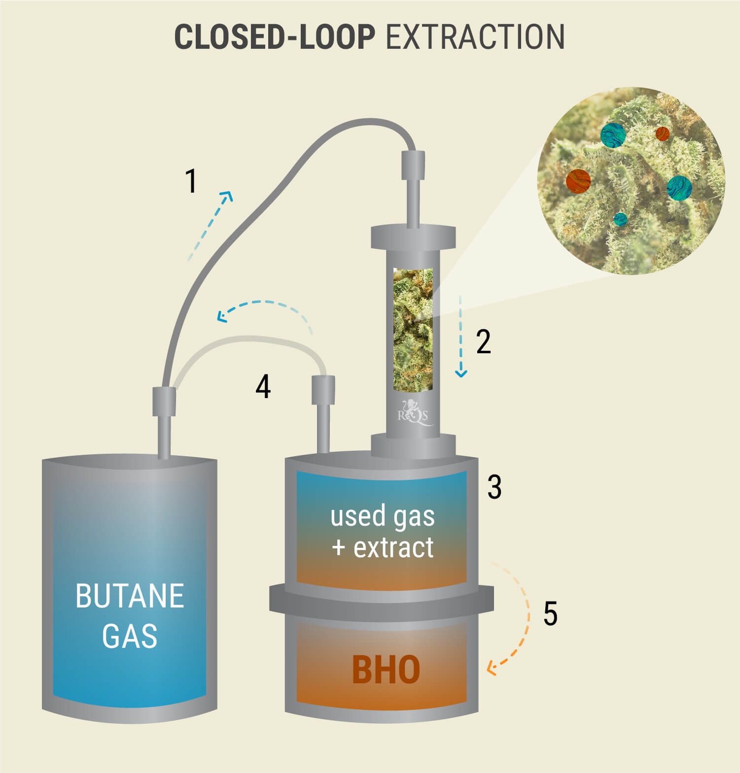 What Is BHO The Definitive Guide To Butane Hash Oil RQS Blog What Is BHO The Definitive Guide To Butane Hash Oil RQS Blog