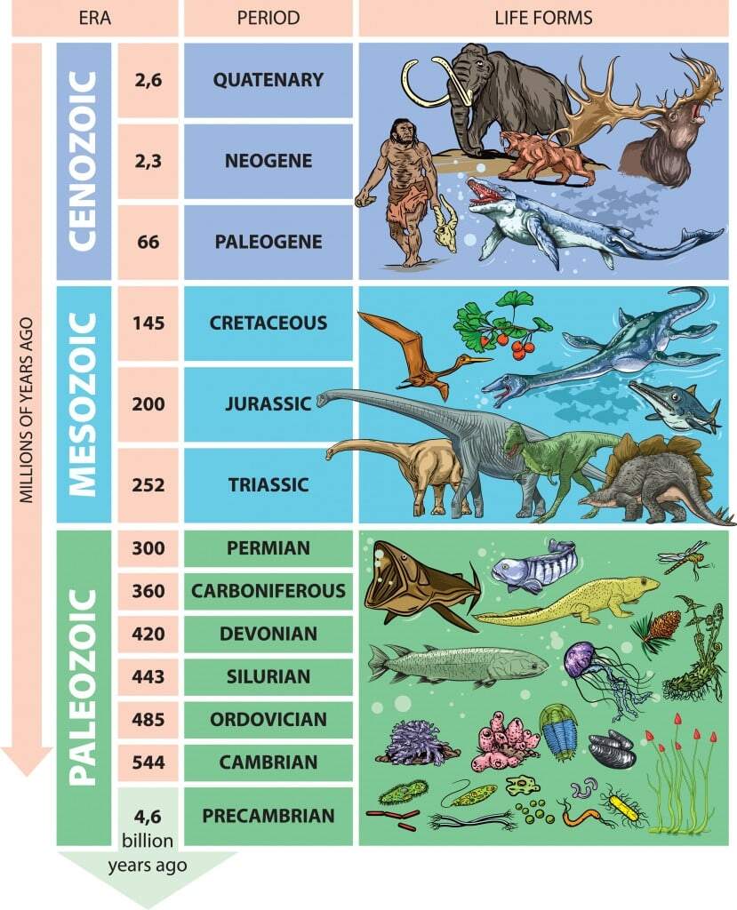 What Is The Geological Time Scale And How Is It Used ScienceABC What Is The Geological Time Scale And How Is It Used ScienceABC