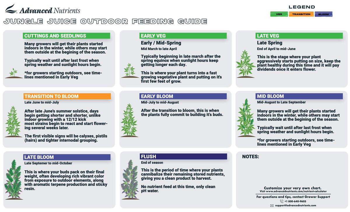 When Does Cannabis Flowering Start Outdoors When Does Cannabis Flowering Start Outdoors