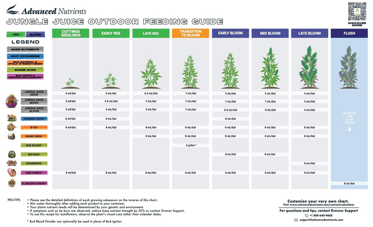 When Does Cannabis Flowering Start Outdoors
