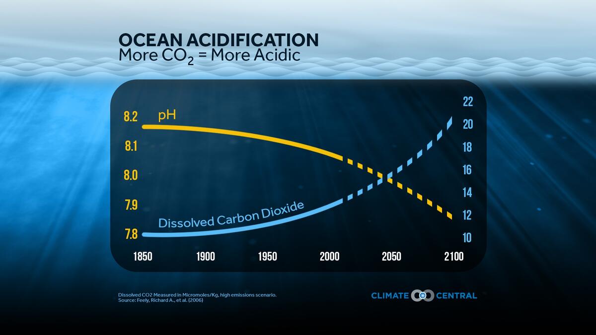 World Oceans Day Ocean Acidification Climate Central