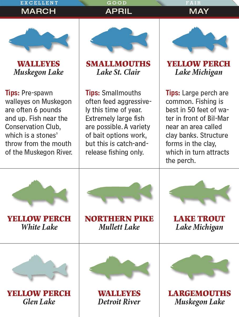 Your Best Spring Fishing In Michigan Game Fish